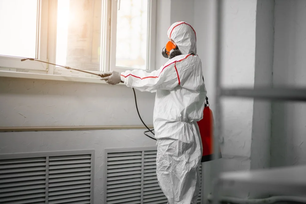 Professional mold remediation services in Thornton, PA